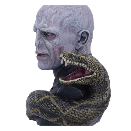 Lord Voldemort Tree Ornaments Harry Potter Hanging
